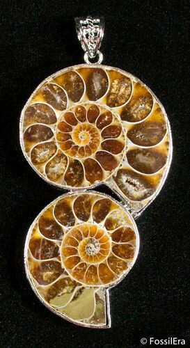 Ammonite Pendant #2711